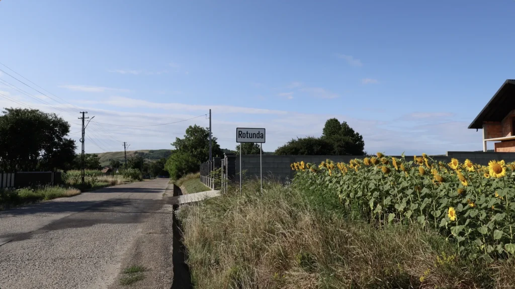 Indicatorul rutier „Rotunda" la intrarea în sat, lângă un lan de floarea-soarelui