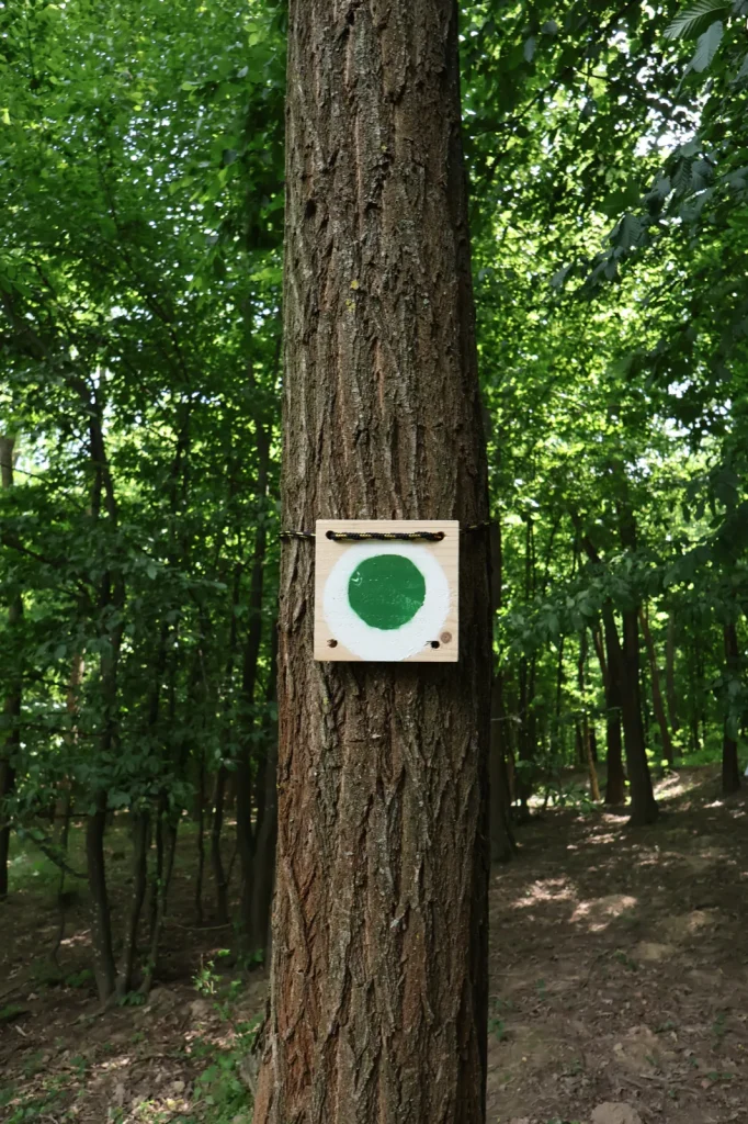 Marcajul Drumului de poveste, un cerc verde pe placă de lemn fixată pe un copac din pădure